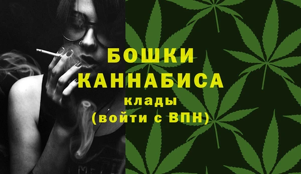 хмурый Мегион