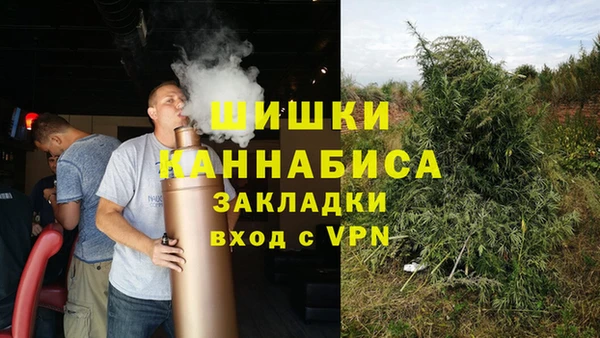 хмурый Мегион