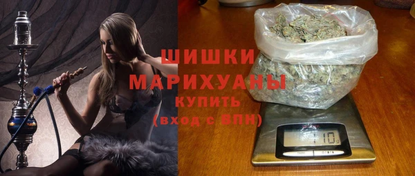 хмурый Мегион
