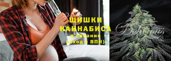 хмурый Мегион